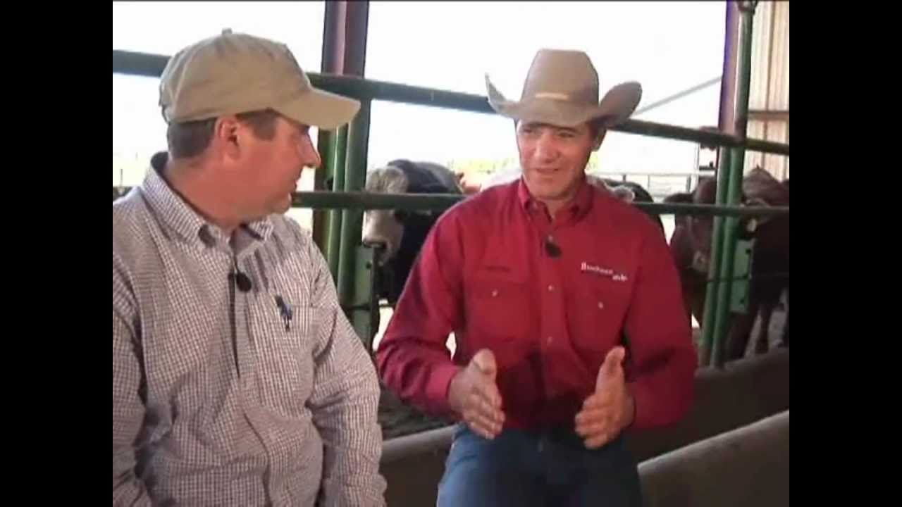 Handling Tips - Education (BQA)