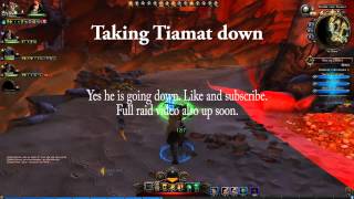 Neverwinter Tiamat Guide Zerg Mode Down