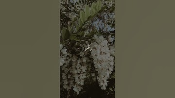 وَضَاقَت عَلَيهِمۡ أَنفُسُهم وَظَنواْ أَن لَّا ملجأَ من ٱللَّه إِلَّآ إِلَيه|سورة التوبه#المنشاوي