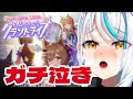 【 完全初見 】ギャン泣きしがちな新人トレーナーによる グランドライブ 育成 ！【 #ライスシャワー #ウマ娘 】 浅葱サキ Vtuber 声優 ガチャ配信 グラライ