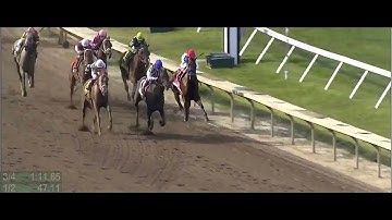 The Grade 1 Haskell Stakes 2023 - Race Replay - widescreen edition