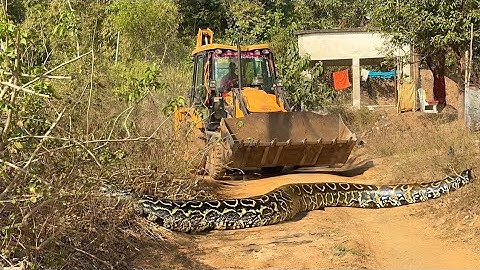 JCB 3dx xpert Loading Mud in Mahindra 475 Di tractor JCB video #jcb #farming