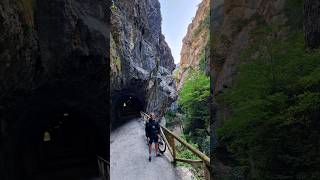 Rincones de Asturias💛💙 Senda del Oso🐻 #asturias #naturaleza #senderismo #asturiasparaisonatural