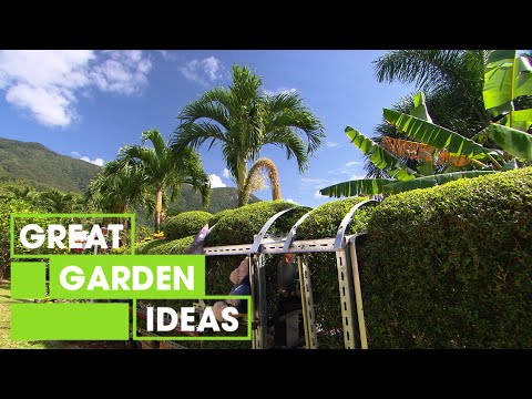 children's-garden-|-garden-|-great-home-ideas