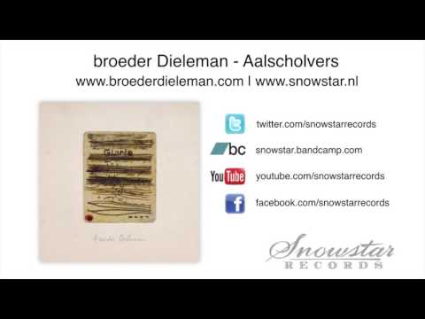 broeder Dieleman - Aalscholvers