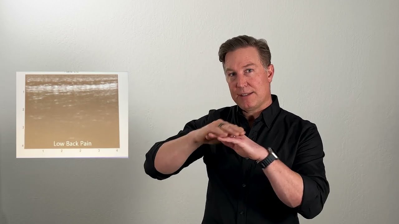 Brant sample | Talking Head