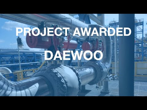 Mozambique LNG Area1 subcontract (DaeWoo E&C)