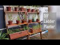 DIY Ladder Planter | Rak Tanaman Bertingkat