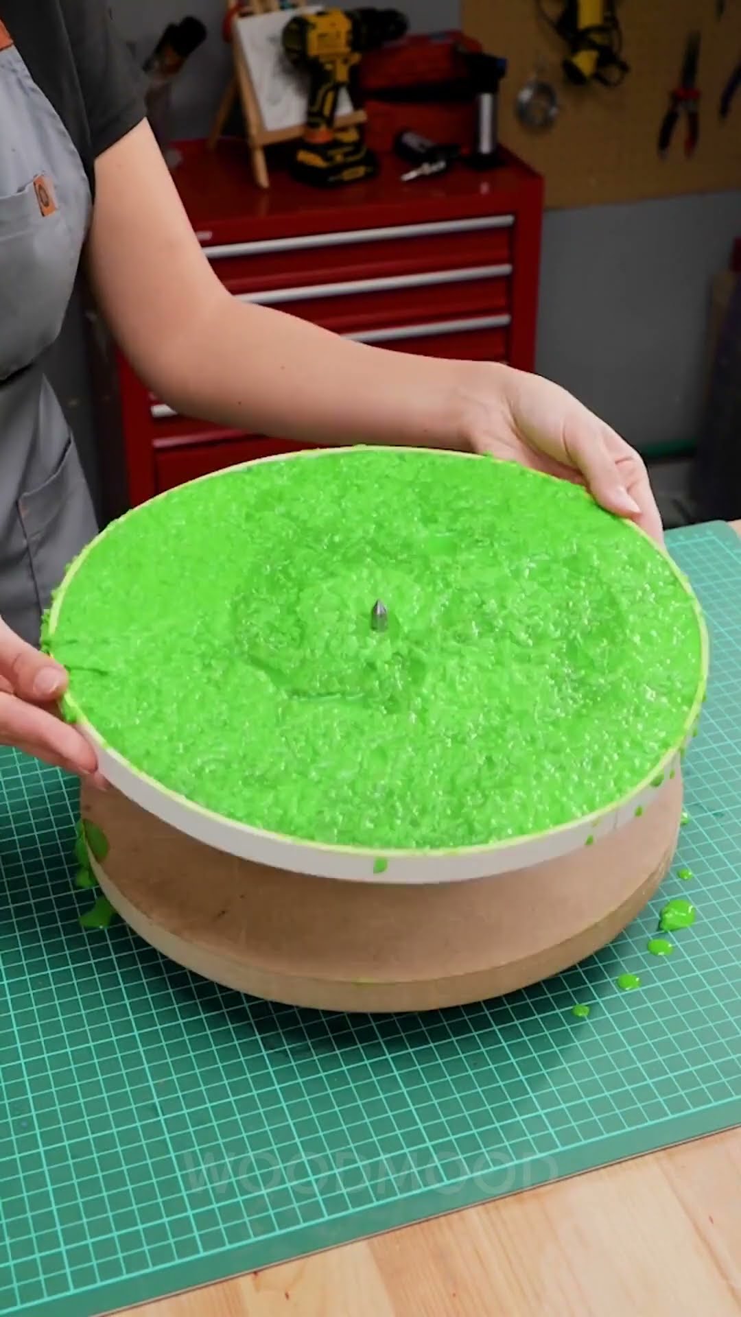 Turn Cactus into ECO-FRIENDLY Leather ?♻️✨