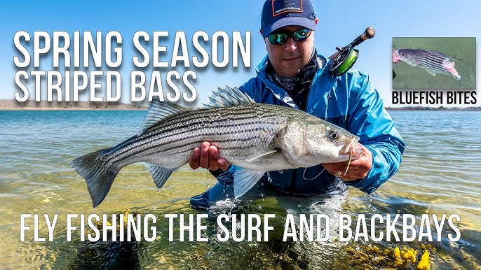 Fly Fish the Surf - Striped Bass Sunrise 