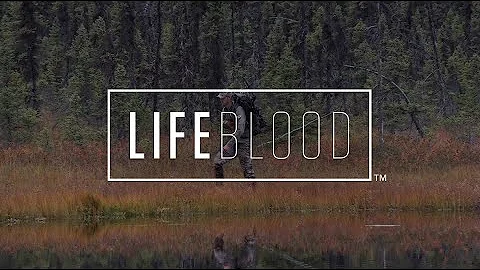 THE ALASKAN ESCAPE - Brett Rouselle