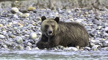 Close Enough Never Got You Anywhere: Charles Glatzer and the Canon EOS 7D Mark II