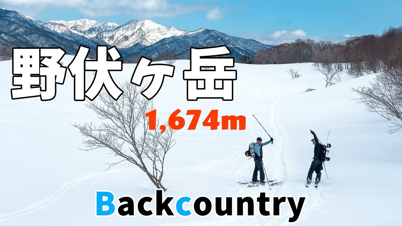 【白山エリア｜野伏ヶ岳】雪山登山でも人気の野伏ヶ岳でバックカントリー！標高差1,000mのロングライドが最高でした！ #雪山登山 #野伏ヶ岳 #バックカントリー