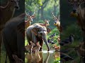 ek Chhota elephant #ai #elephant #forest #fire