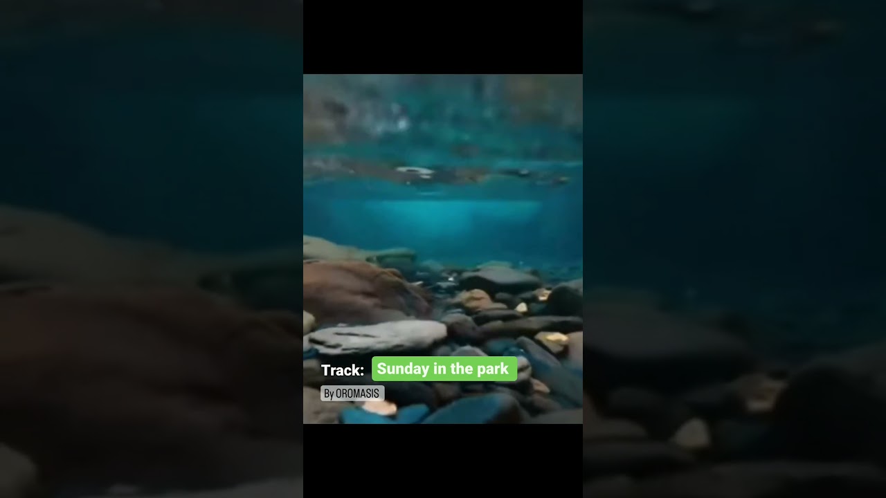 "SUNDAY IN THE PARK" By: OROMASIS