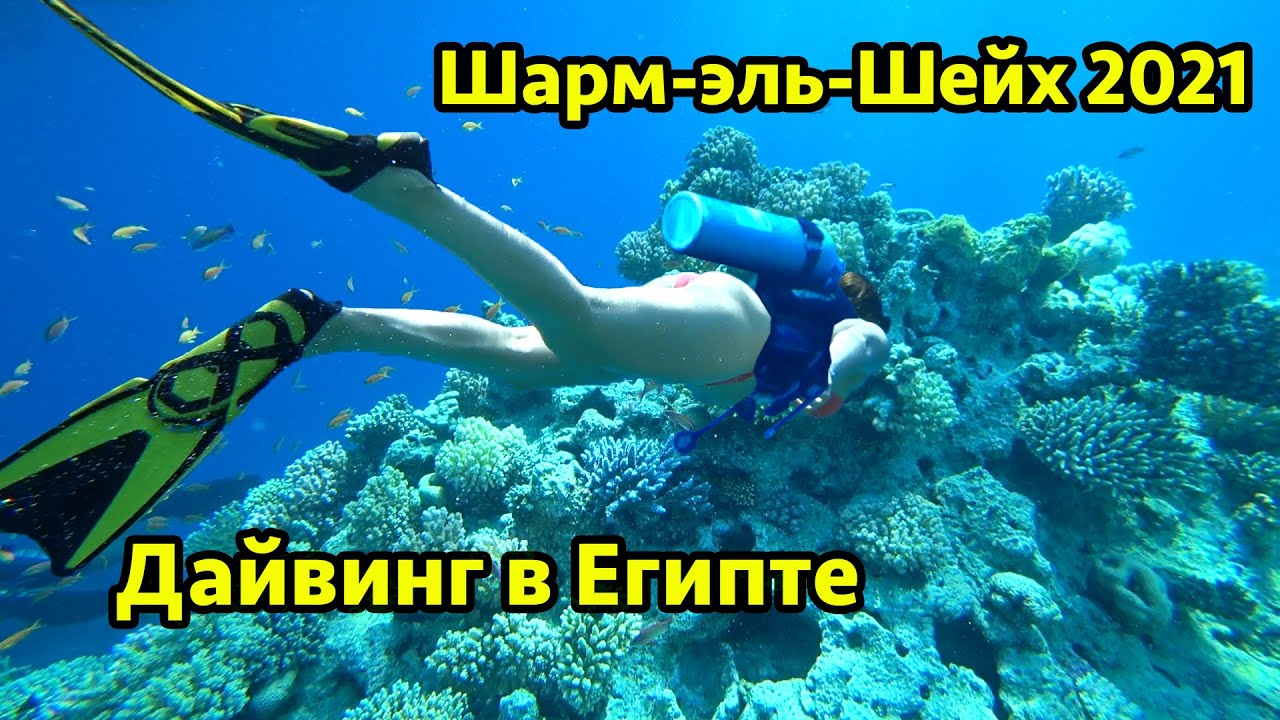 Виртуалды порно ойындарын ойнаңыз