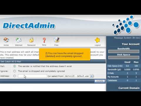 DirectAdmin - How to create a catch-all email account