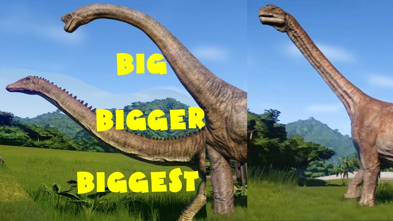 Dinosaurs for kids 18 Brachiosaurus vs Diplodocus vs Camarasaurus - YouTube...