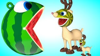 Pacman Watermelon rolls meets a Reindeer as he find a surprise toys on farm