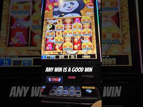 Παίξτε στο Slot Palace Casino με την ζωντανή πλατφόρμα του καζινού στο διαδίκτυο