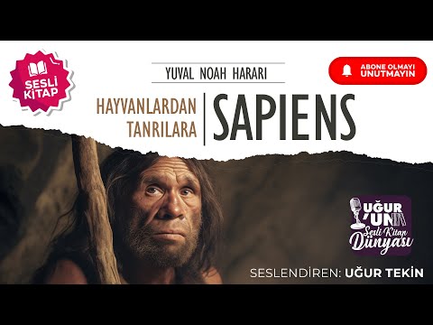 Video: İpekböceklerinin yaratıcılığı. Çin'den sıra dışı sanat projesi