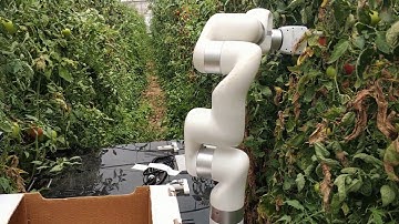 Tomato harvester on Automato
