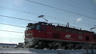 EF510-12 梶ヶ谷ターミナル→札幌ターミナル 高速貨物95レ 信越本線