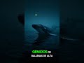 Lo que grabó la NOAA al bajar un hidrófono a la Fosa de las Marianas 🕰️🎙️