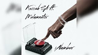 Kwiish SA - iNumber (feat. Malumnator) - [Visualizer]