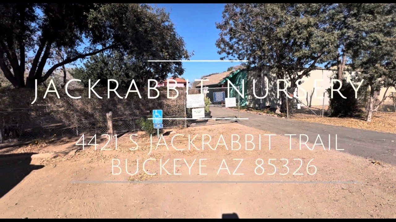 Trip To Jackrabbit Nursery - Buckeye, Az