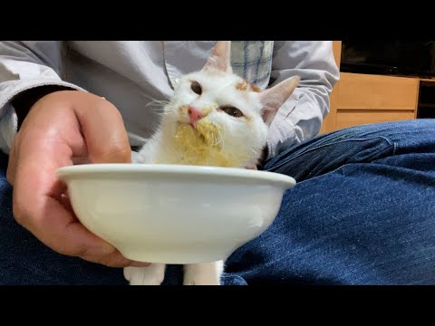 今ロロはこんなご飯を食べています