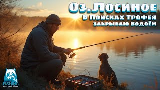рр4 _ оз. Лосиное очередная попытка закрыть новую картинку, ну и Туды-Сюды