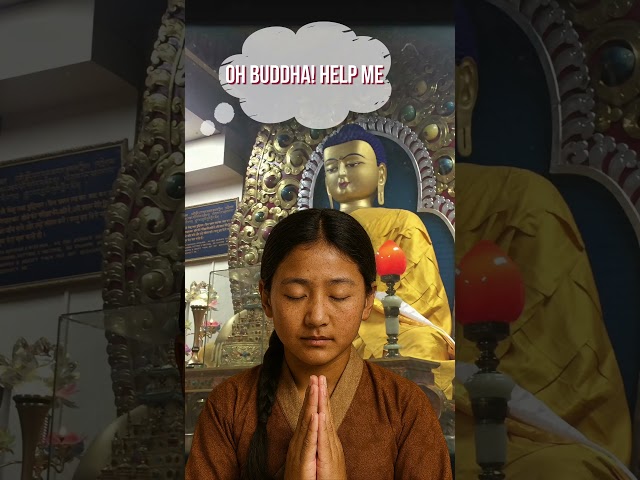 Four Principal Commitments of His Holiness the Dalai Lama: Knowledge on Emotions for Inner Peace