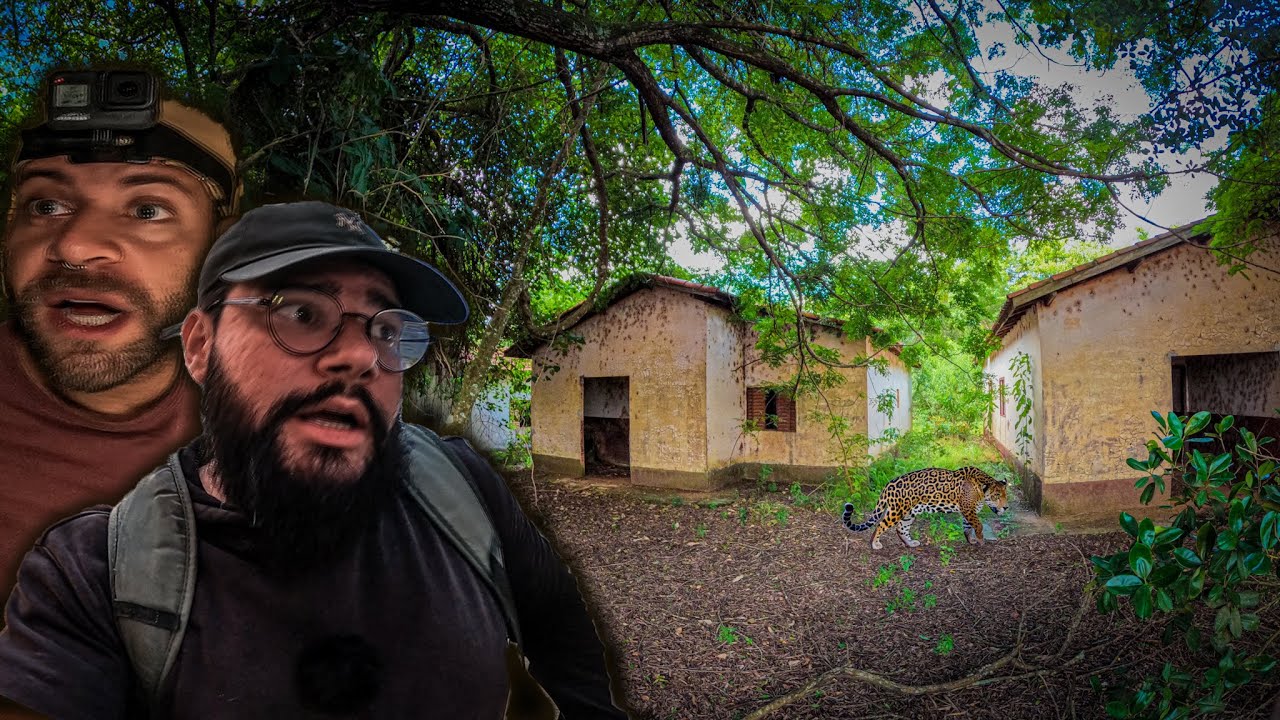 NÓS DEPARAMOS COM ALGO PERIGOSO QUE NOS OBRIGOU A FUGIR ÀS PRESSAS DESTE LUGAR !!