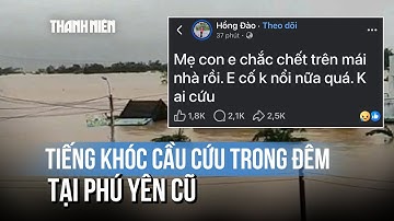 Từ mạng xã hội: Tiếng khóc cầu cứu trong đêm ở Phú Yên cũ