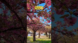 Paris , France 🇫🇷 - Paris Spring 2026 |  4K Paris | A Walk In Paris