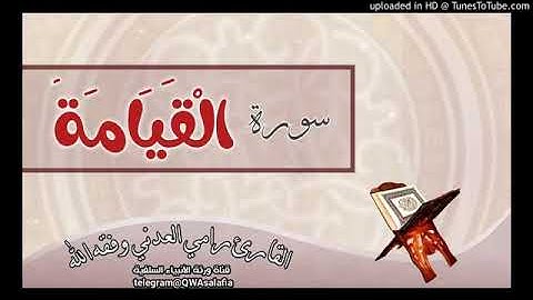 🎧🎙 تلاوة مميزة 🎙🎧 مليئة بالطمأنينة والراحة 🌷 أرح سمعك 🌷 القارئ || رامي العدني || حفظه الله ||