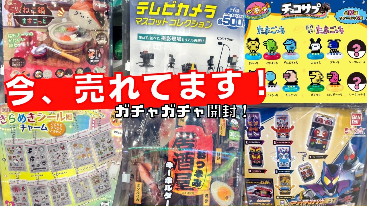 12月#2【ガチャガチャ】どこ探しても無い！けどやっと見つけた人気のガチャ！反響の良いガチャもおかわりしました！ゴチゾウ/サンリオ/たまごっち