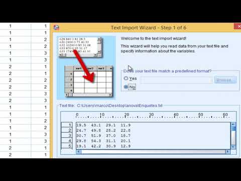 SPSS (tutoriel)/ Importer un fichier Excel ou texte (.xlsx, .txt)