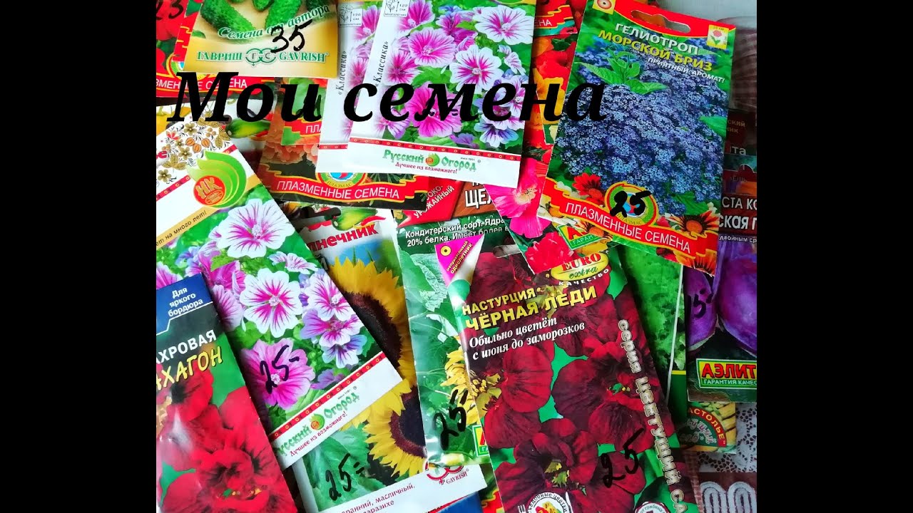 семена обзор видео