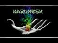 Karunesh 💞 Карунеш  - Три любими мелодии