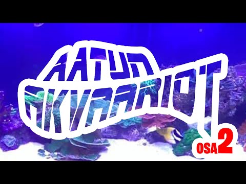 Video: Haluan Akvaarion. Osa 2