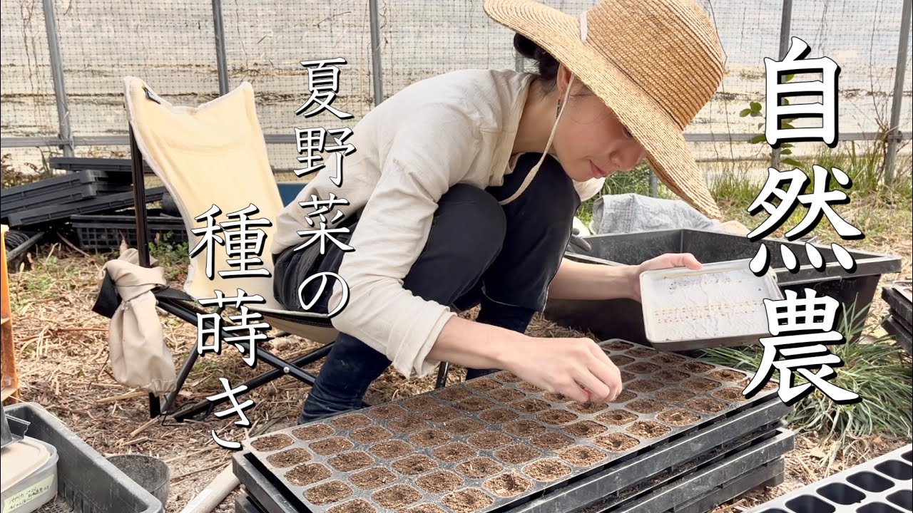 【自給農】踏み込み温床の発酵熱で育苗🌱夏野菜の種まき