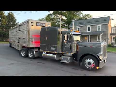 Nice Peterbilt 379 pulling a spread axle eby  bull ride and Volvo pulling an eby bull ride