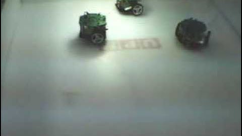 Swarm Robots Foraging (AMiR)