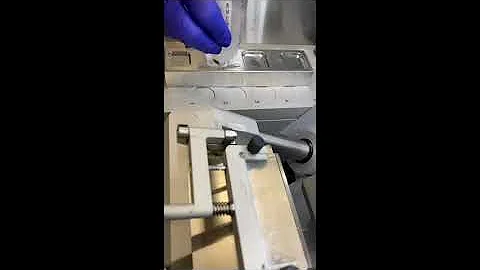 Frozen Sections- Embedding Using the Well System