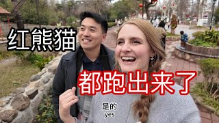 第一次来上海野生动物园动物竟然可以到处跑American Girl Tries Pig Brain?