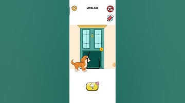 Braindow Draw puzzle Level 460