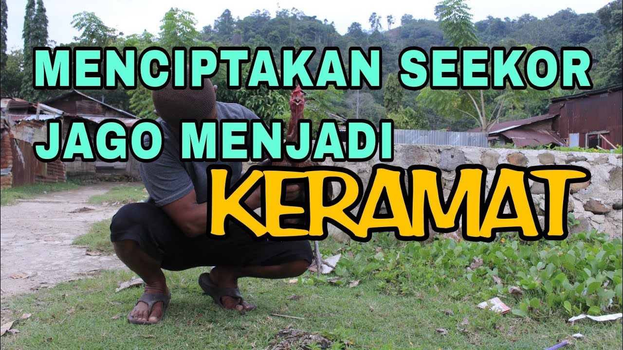 SEMUA AKAN TERTAWA DENGAN APA YANG SAYA BILANG