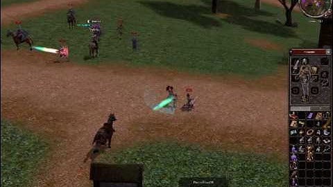 metin2 gemini xxastroxx xxleonxx 1vS100 ruleZ